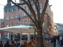 Rathausmarkt: Hochseilakrobatik Falko Traben