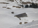 Skigebiet Les Crosetts mit Almhtte