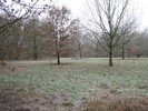 Oldenburg im Winter: Uni-Naturschutzgebiet