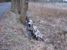 Oldenburg im Winter: Wiese am Hartenscher Damm