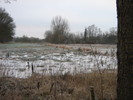 Oldenburg im Winter: Eiswiese am Hartenscher Damm