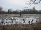 Oldenburg im Winter: Eiswiese am Hartenscher Damm