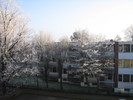 Oldenburg im Winter: Eisbereifte Bume