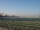 Oldenburg im Winter: Eisbereifte Bume