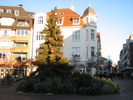 Weihnachtsbaum auf dem Julius-Mosen-Platz