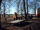 Winterquartier Circus Tonelli: Kamel in Oldenbu...