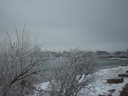 Banter See: Verschneite Strucher auf dem Grode...